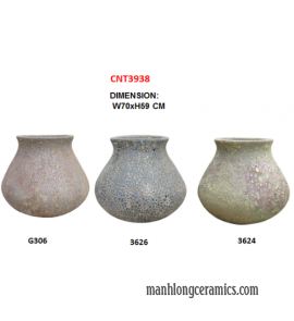 CNT3938