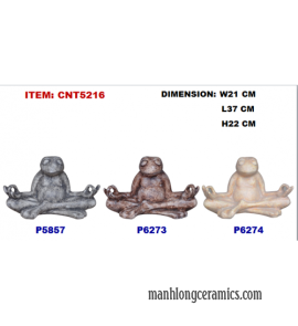 CNT5216