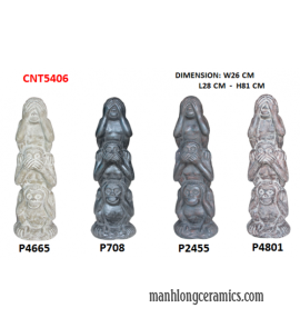  CNT5406