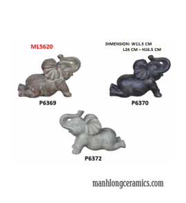 ML5620