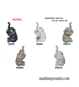 ML5621