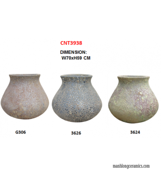 CNT3938