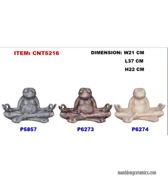 CNT5216
