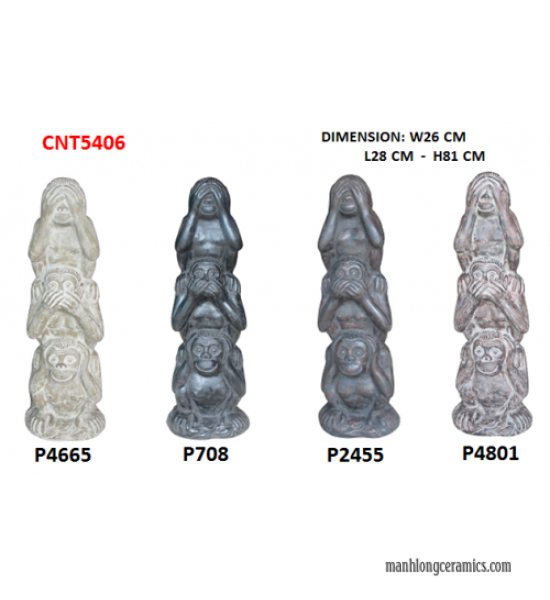  CNT5406
