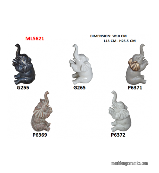ML5621